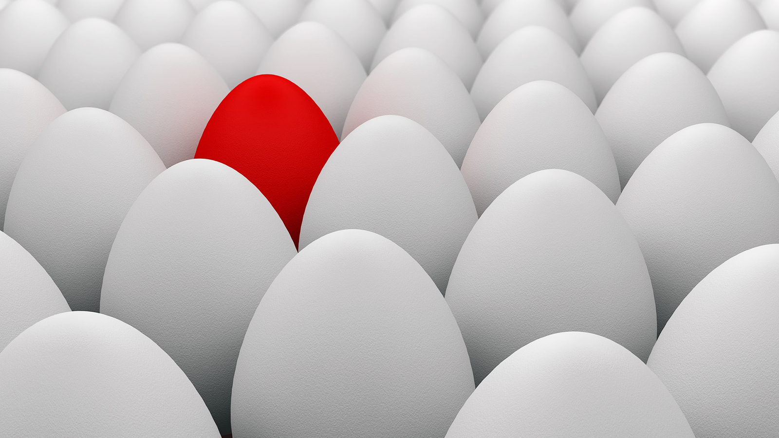 A red egg surrounded by dozens of white eggs